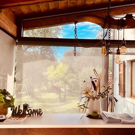 Agritur Fiore D'Ulivo Riva Zewnętrze zdjęcie
