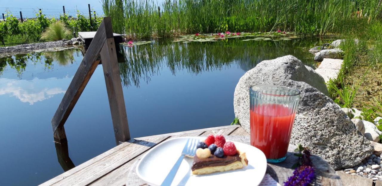 Agritur Fiore D'Ulivo Riva Zewnętrze zdjęcie