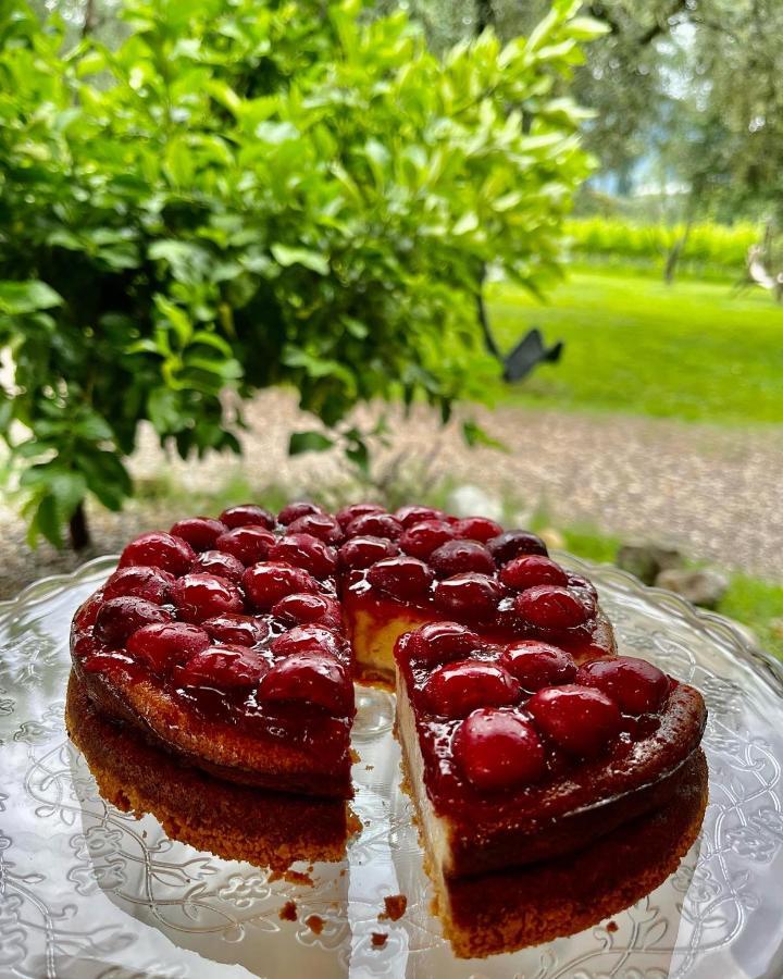 Agritur Fiore D'Ulivo Riva Zewnętrze zdjęcie